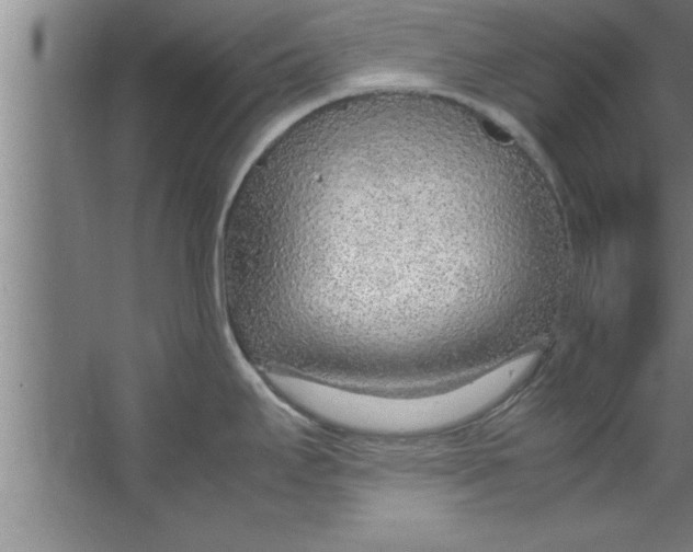 X0000067481295200604281910