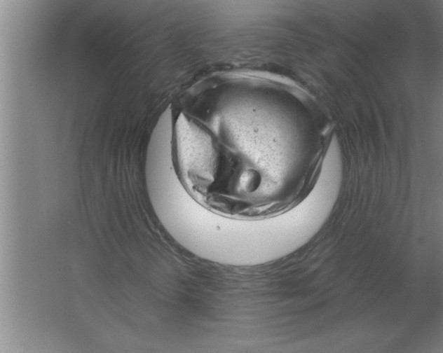 X0000067481298200604281909