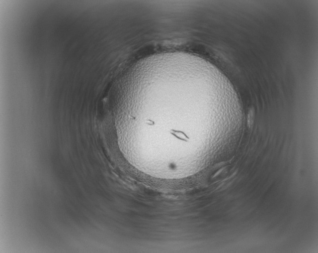 X0000067481299200604281909