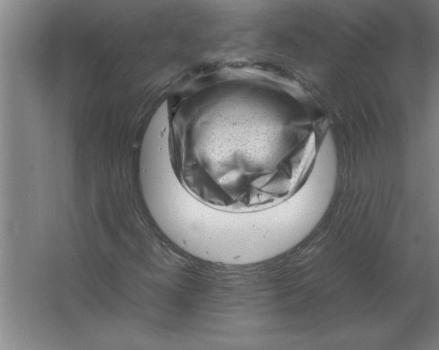 X0000067481300200604281909