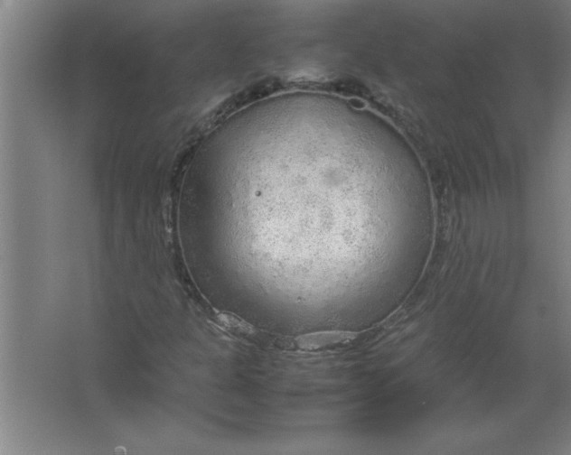 X0000067481301200604281909