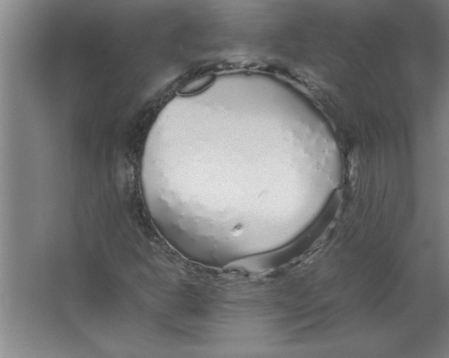 X0000067481302200604281909