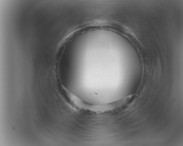 X0000067481304200604281909