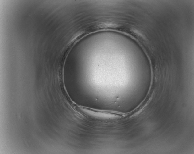 X0000067481305200604281909