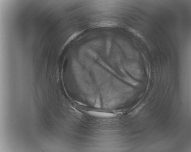 X0000067481306200604281909