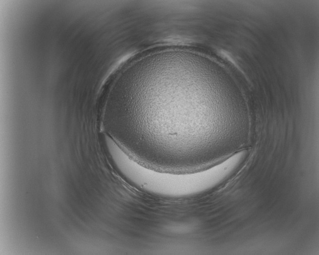 X0000067481307200604281909