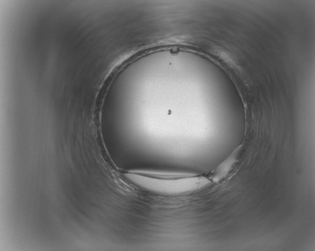 X0000067481308200604281910