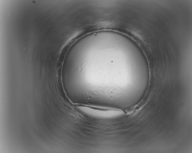 X0000067481309200604281910