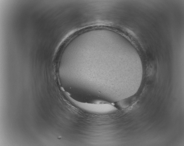 X0000067481310200604281910