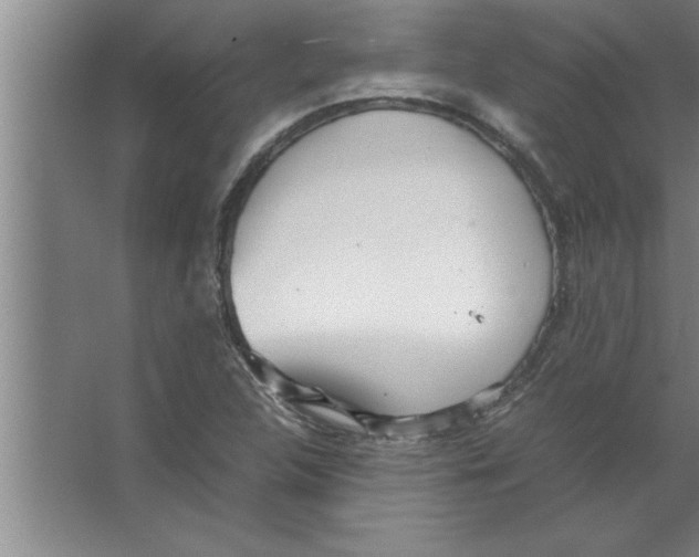 X0000067481312200604281910