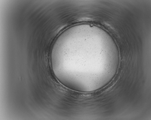 X0000067481313200604281910