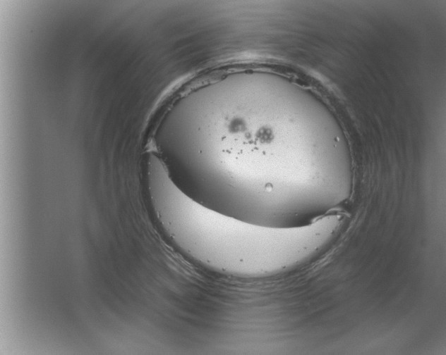 X0000067481314200604281910