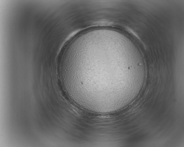 X0000067481315200604281910