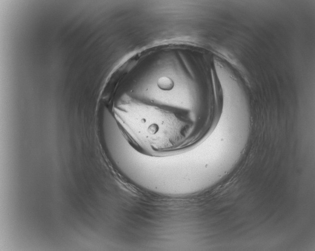 X0000067481316200604281910