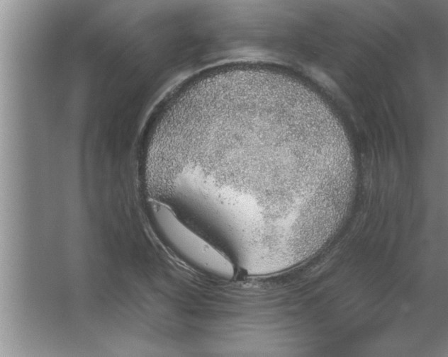 X0000067481318200604281910