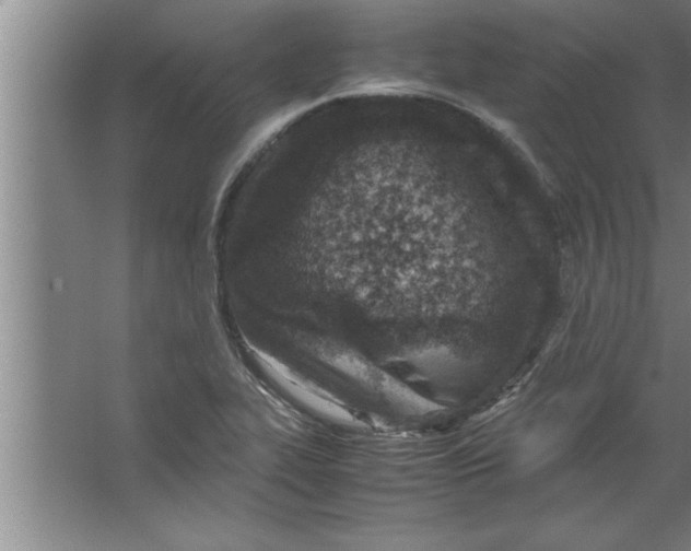 X0000067481319200604281910