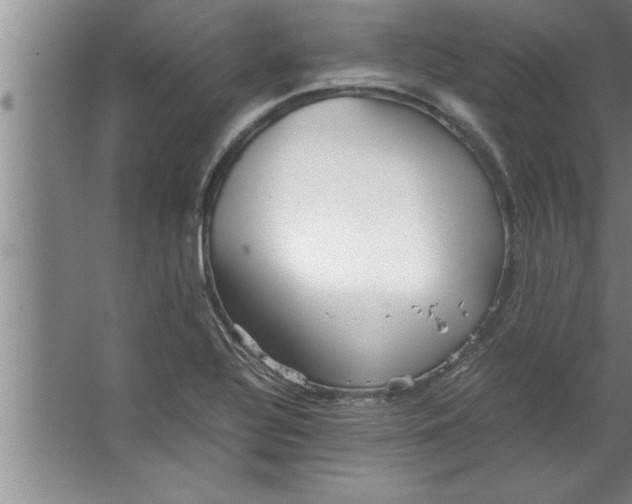 X0000067481320200604281910