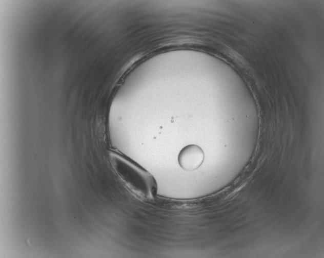 X0000067481321200604281910