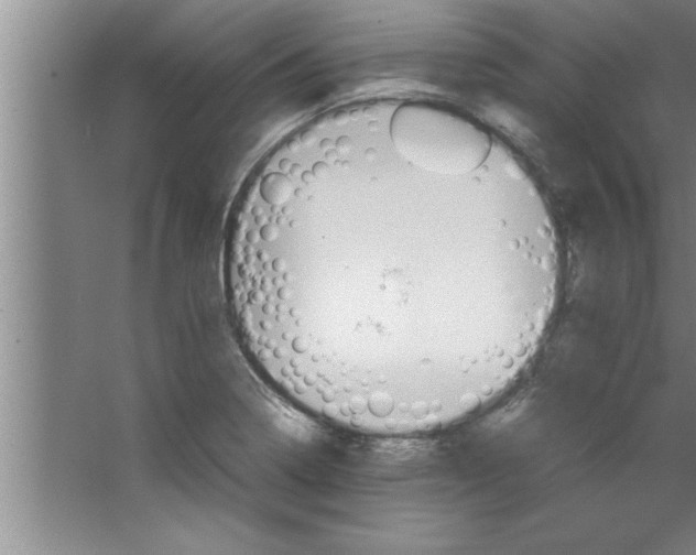 X0000067481322200604281910