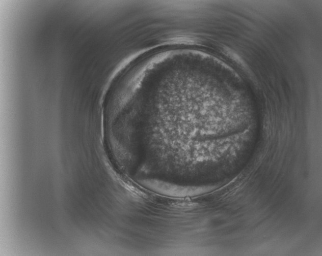 X0000067481323200604281910