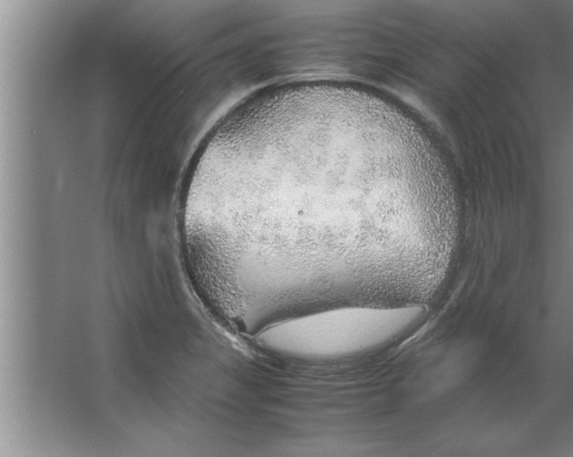 X0000067481325200604281910