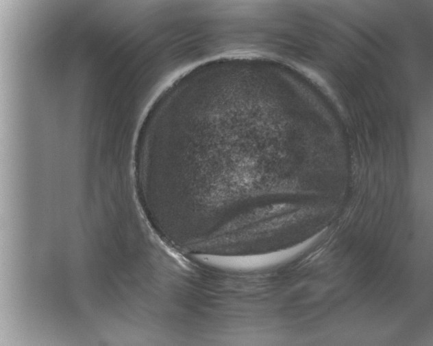 X0000067481327200604281910