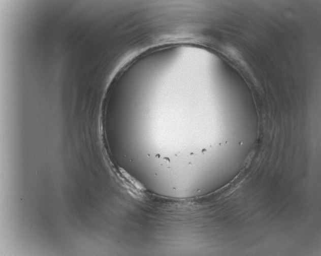 X0000067481328200604281910