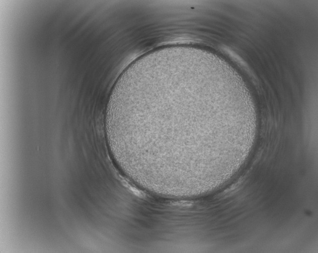 X0000067481329200604281910