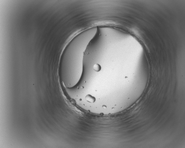 X0000067481330200604281910