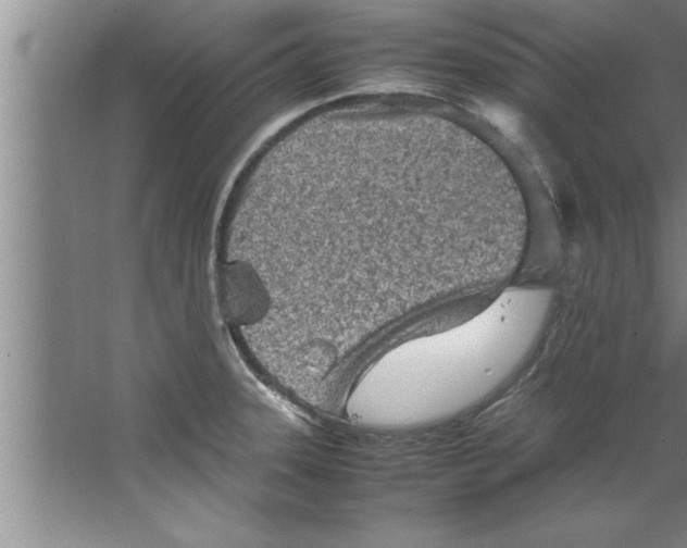 X0000067481331200604281910