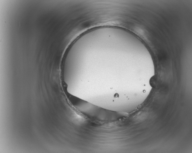 X0000067481332200604281910