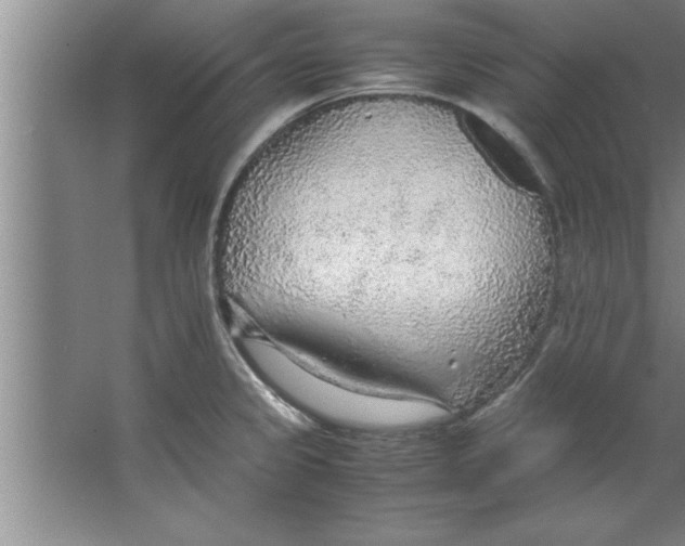 X0000067481333200604281910