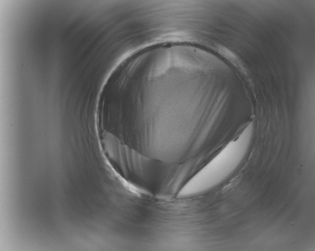 X0000067481334200604281910