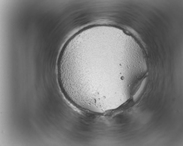 X0000067481335200604281910