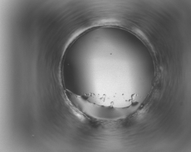 X0000067481336200604281910