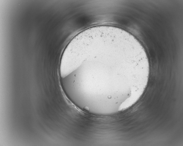 X0000067481338200604281910