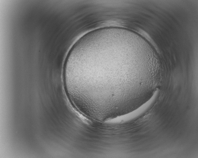 X0000067481339200604281910