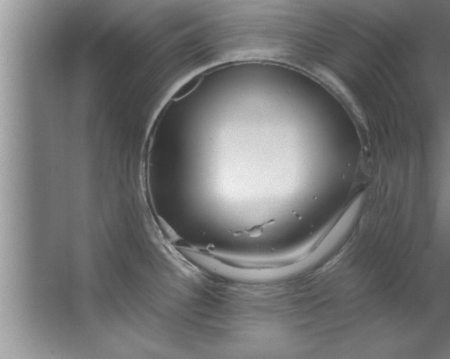 X0000067481340200604281910