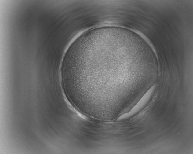 X0000067481341200604281910