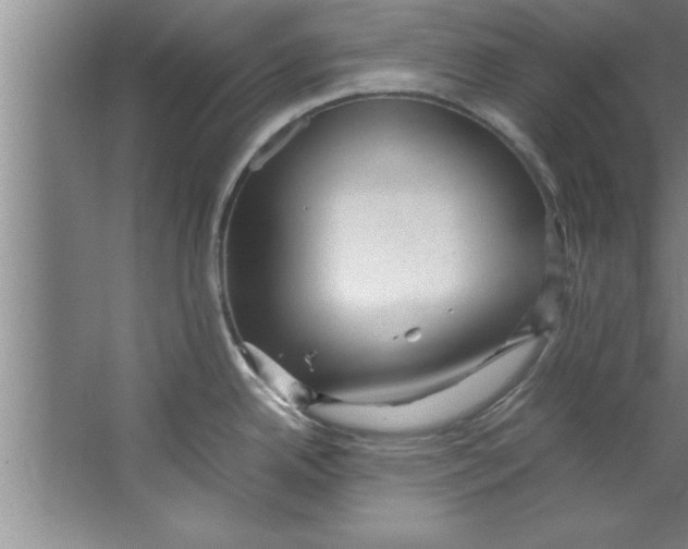 X0000067481342200604281910