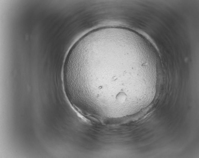 X0000067481343200604281910