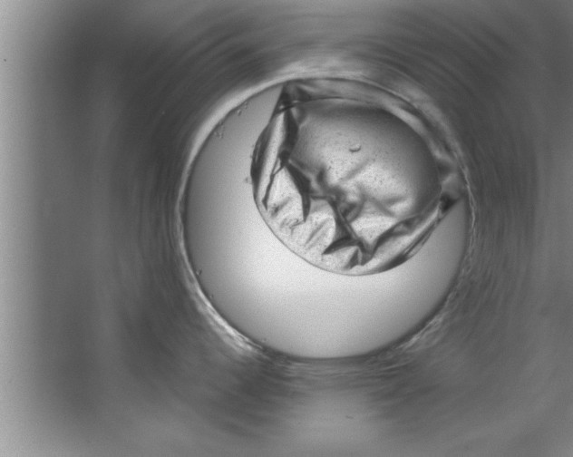 X0000067481344200604281910