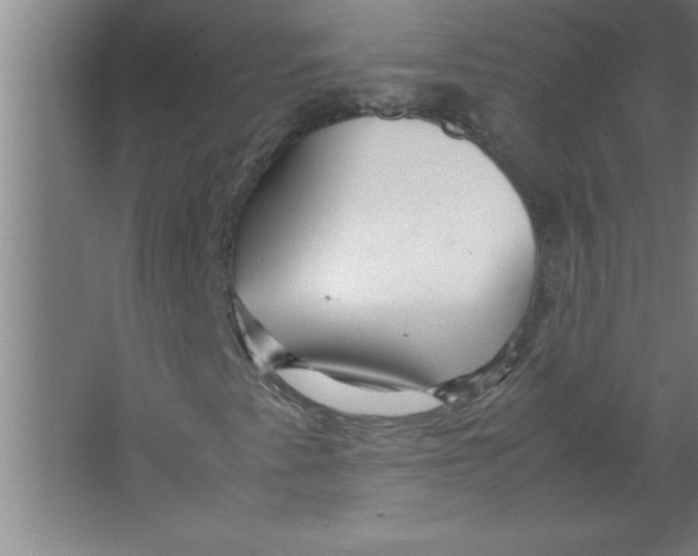 X0000067481345200604281909