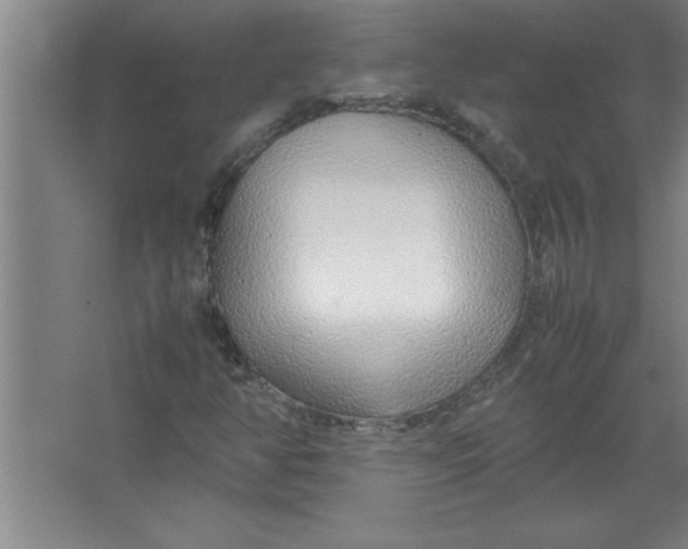 X0000067481350200604281909