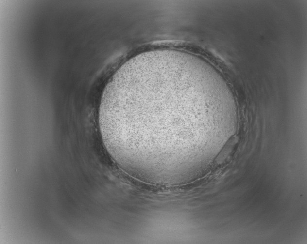 X0000067481351200604281909