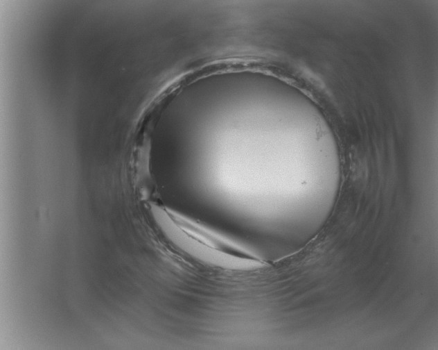 X0000067481352200604281909