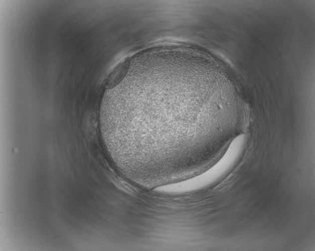 X0000067481355200604281909