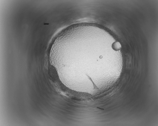 X0000067481358200604281909