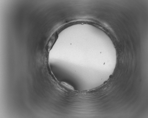 X0000067481360200604281909