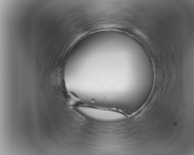 X0000067481361200604281909